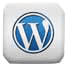 Hire our WordPress Customisation experts