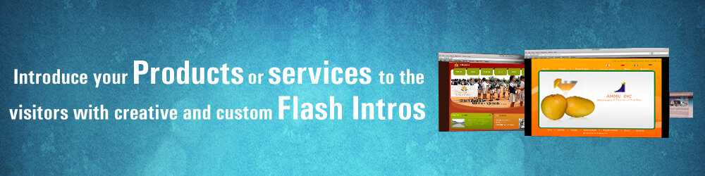 flash intros to websites