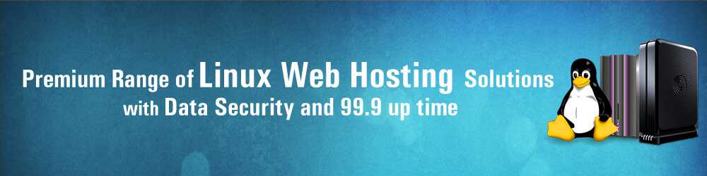 Linux hosting Services