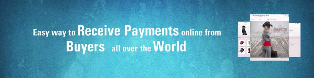 Paypal payment gateway for ecommerce sites